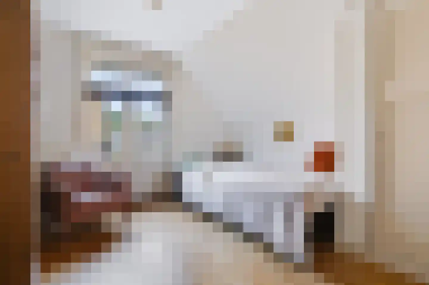 Koning Lodewijklaan 20 Apeldoorn thumbnail 21