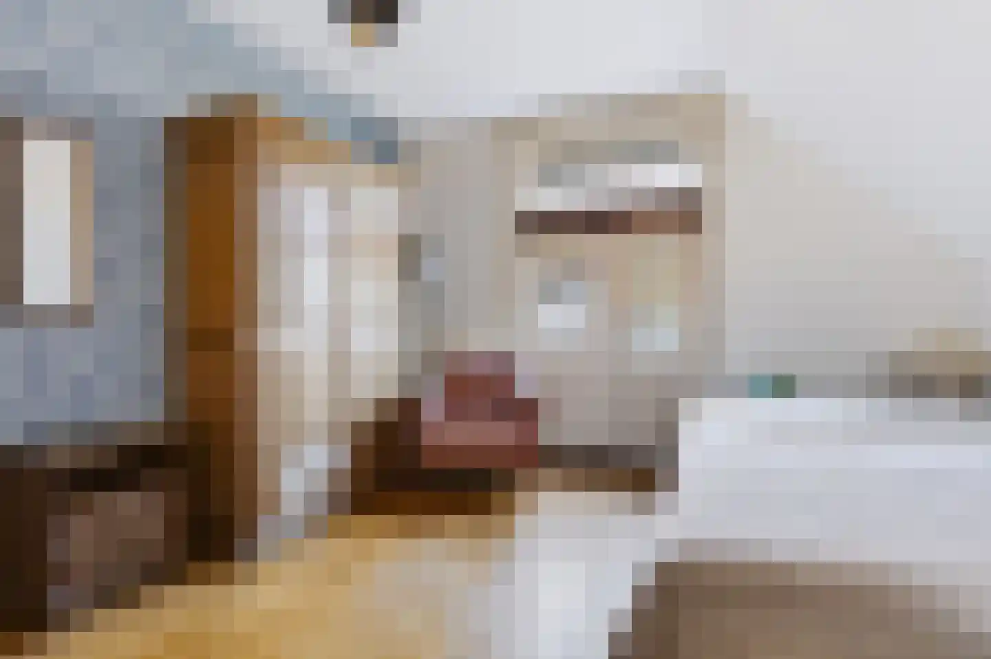 Koning Lodewijklaan 20 Apeldoorn thumbnail 22