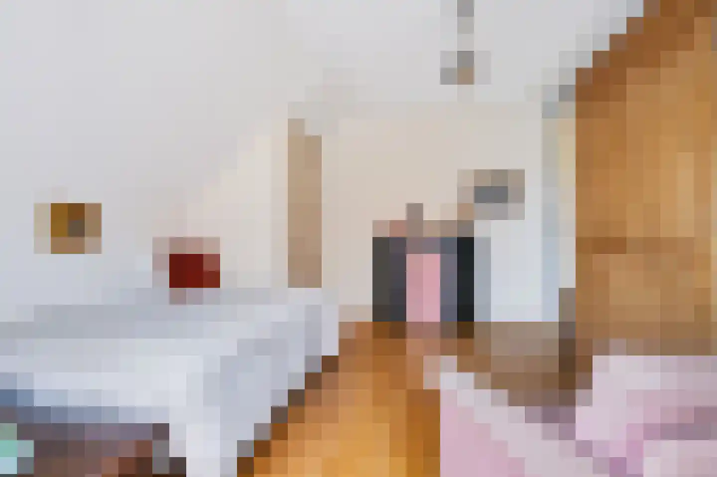 Koning Lodewijklaan 20 Apeldoorn thumbnail 23