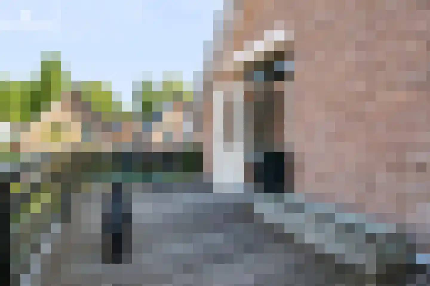 Koning Lodewijklaan 20 Apeldoorn thumbnail 27