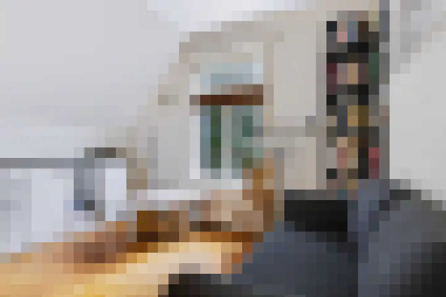 Koning Lodewijklaan 20 Apeldoorn thumbnail 28