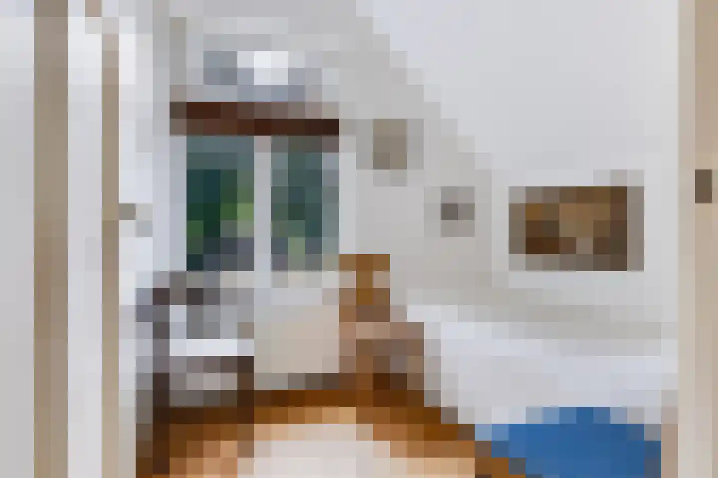 Koning Lodewijklaan 20 Apeldoorn thumbnail 31