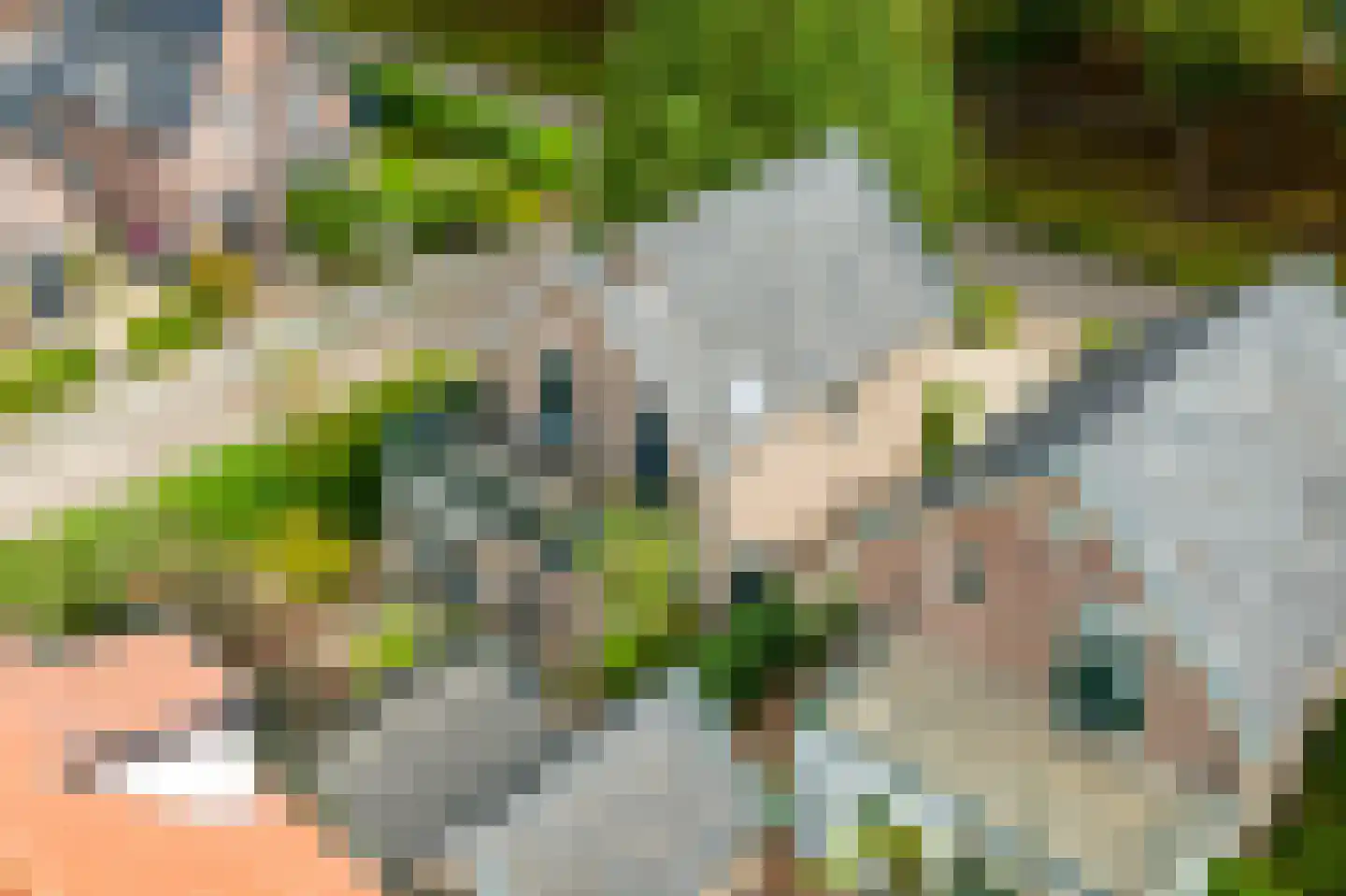 Koning Lodewijklaan 20 Apeldoorn thumbnail 36