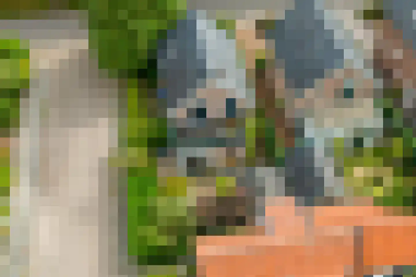 Koning Lodewijklaan 20 Apeldoorn thumbnail 38