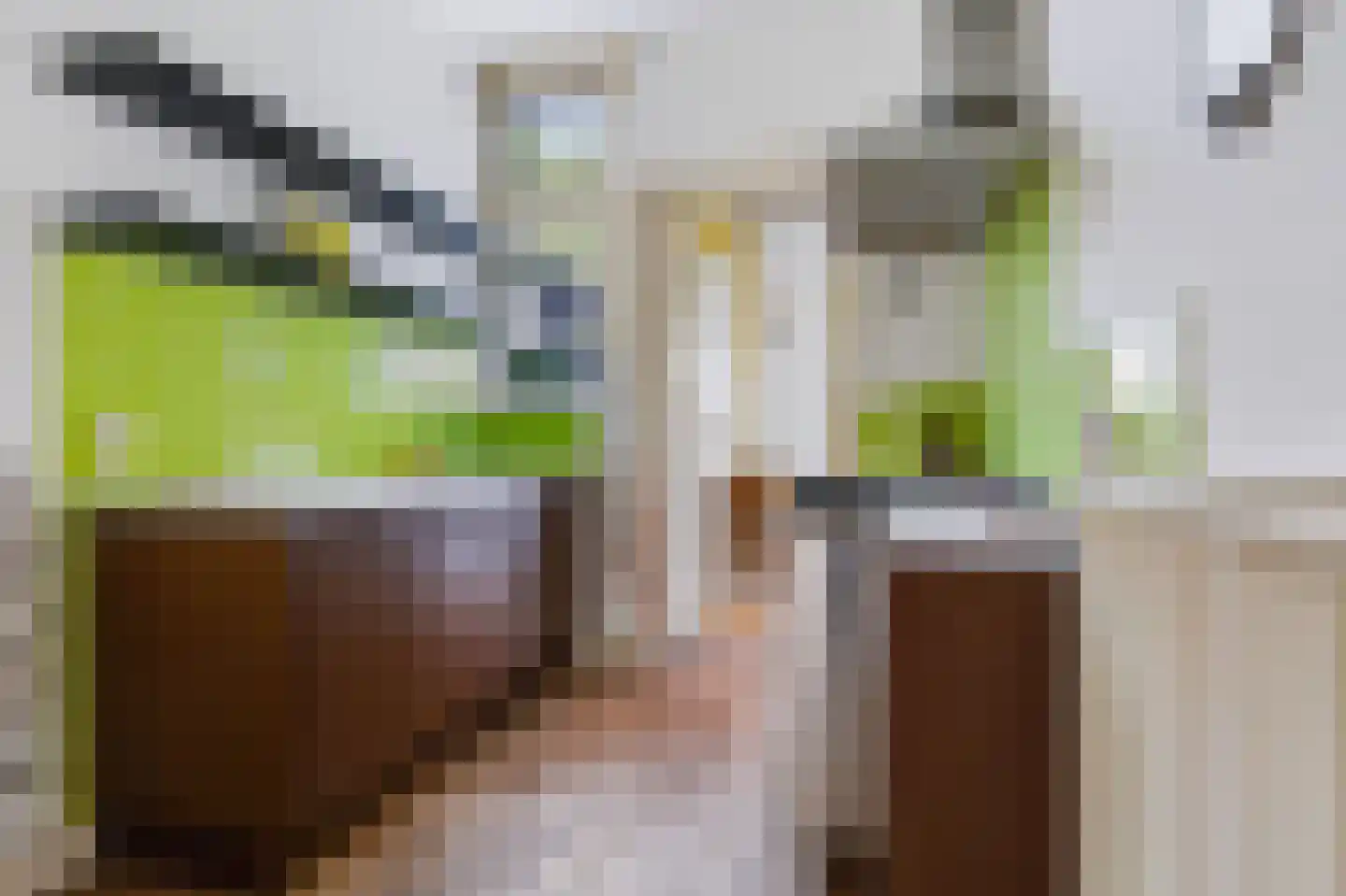 Koning Lodewijklaan 20 Apeldoorn thumbnail 4