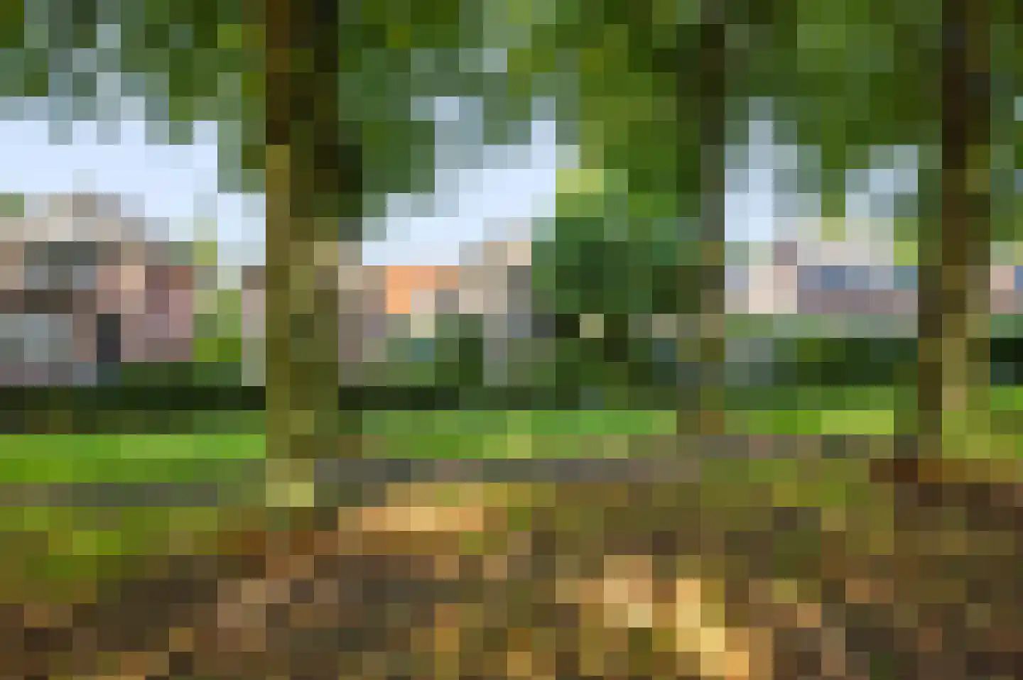 Koning Lodewijklaan 20 Apeldoorn thumbnail 40