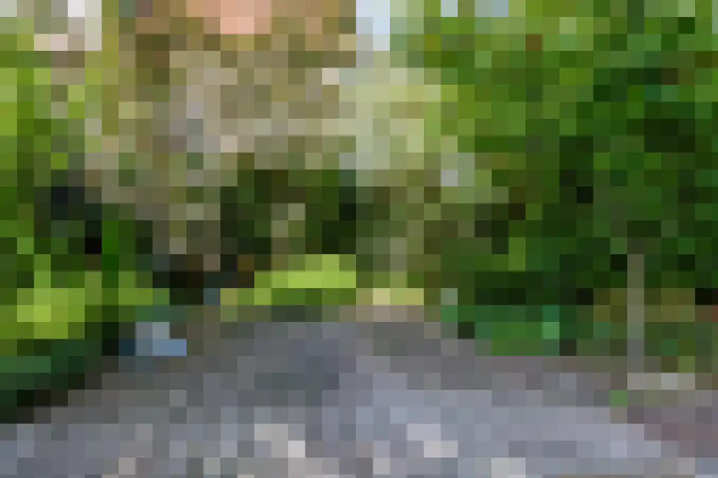 Koning Lodewijklaan 20 Apeldoorn thumbnail 47