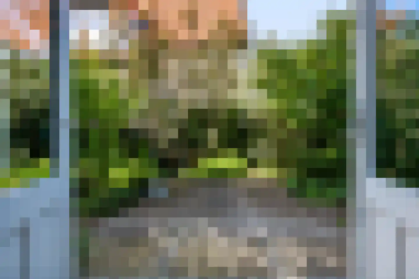 Koning Lodewijklaan 20 Apeldoorn thumbnail 5