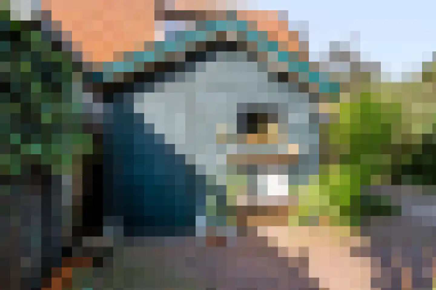 Koning Lodewijklaan 20 Apeldoorn thumbnail 50