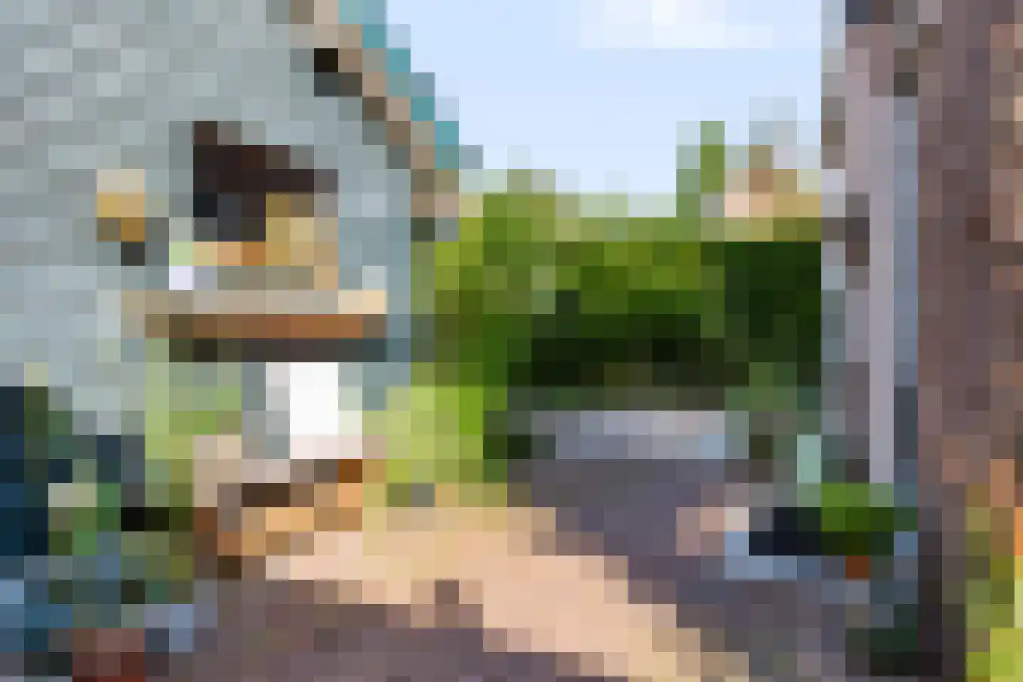 Koning Lodewijklaan 20 Apeldoorn thumbnail 51