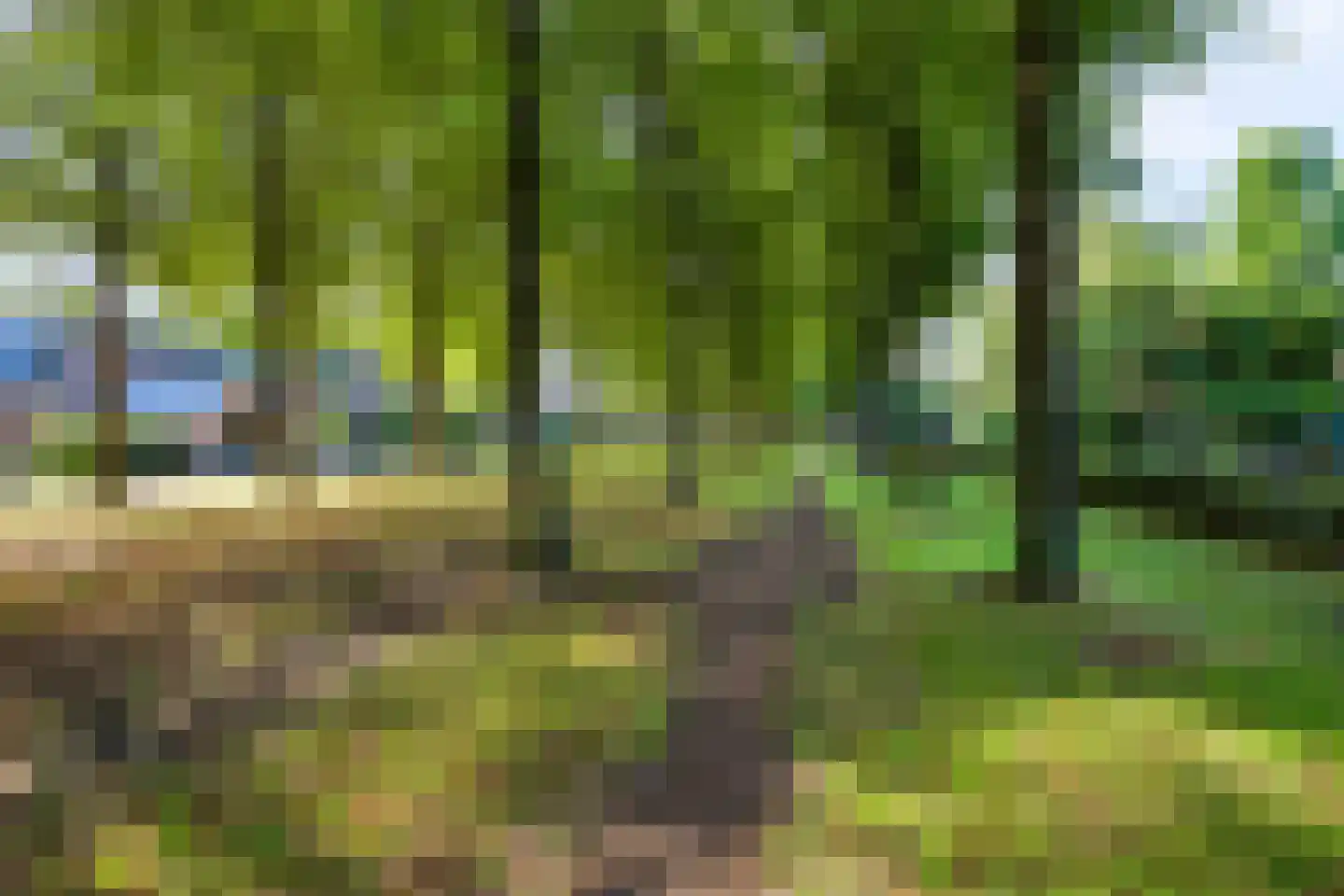 Koning Lodewijklaan 20 Apeldoorn thumbnail 55