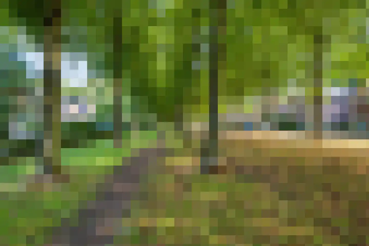 Koning Lodewijklaan 20 Apeldoorn thumbnail 56