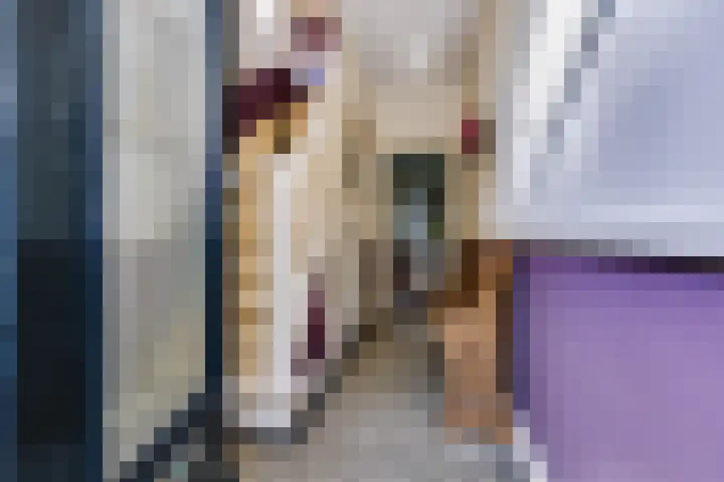Koning Lodewijklaan 20 Apeldoorn thumbnail 7