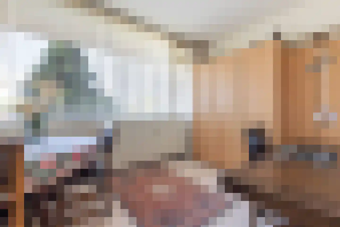 Koning Lodewijklaan 230 Apeldoorn thumbnail 18