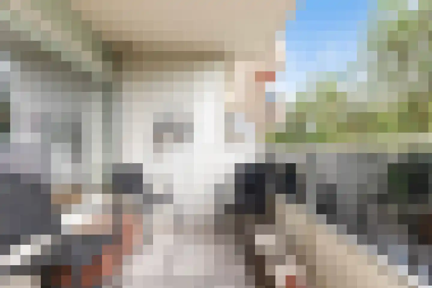 Koning Lodewijklaan 230 Apeldoorn thumbnail 22