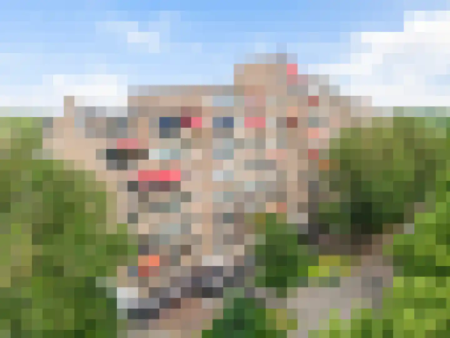 Koning Lodewijklaan 230 Apeldoorn thumbnail 25