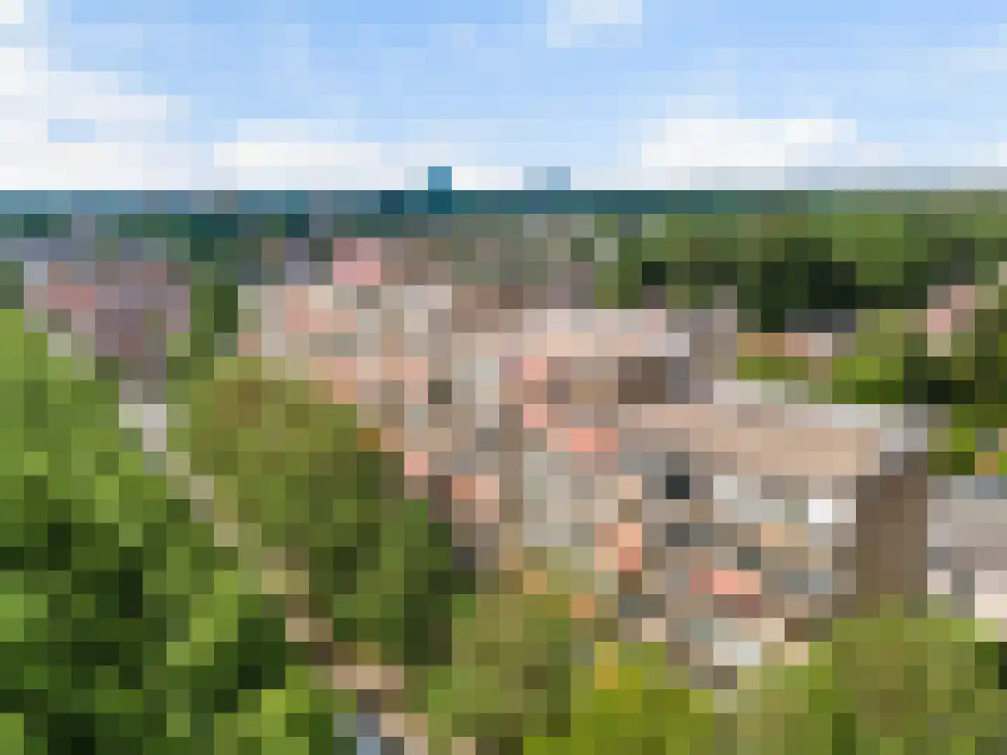 Koning Lodewijklaan 230 Apeldoorn thumbnail 26