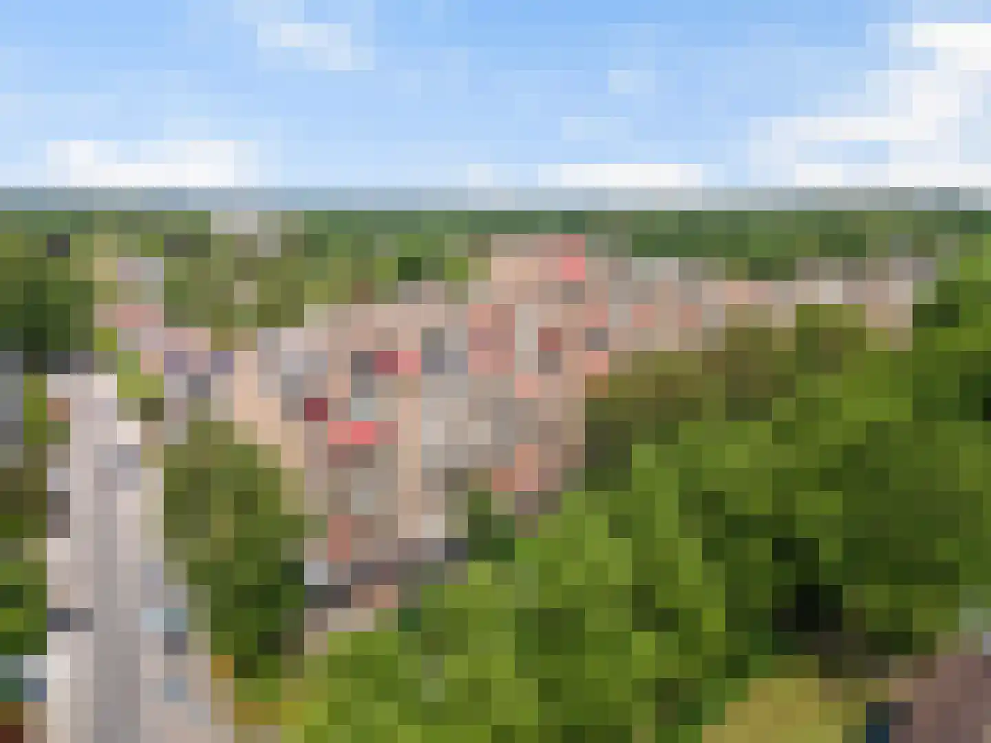 Koning Lodewijklaan 230 Apeldoorn thumbnail 27
