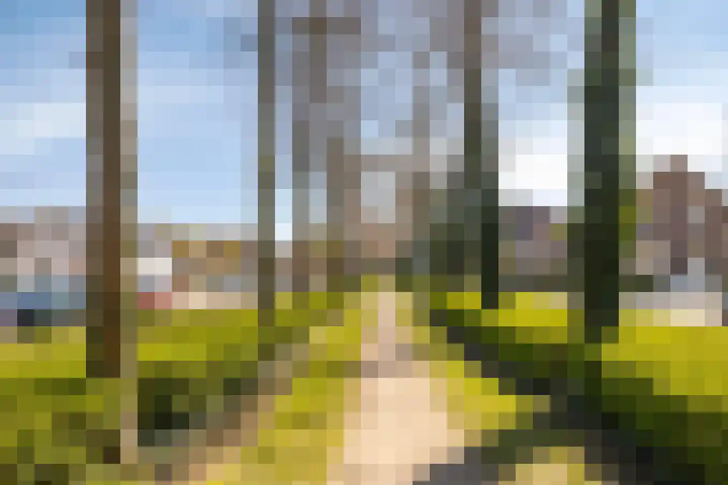 Koning Lodewijklaan 234 Apeldoorn thumbnail 32
