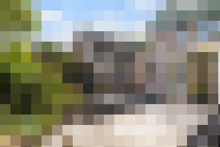 Koning Lodewijklaan 51 B Apeldoorn thumbnail 14
