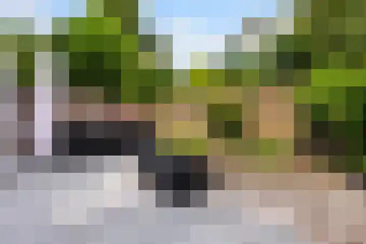 Koning Lodewijklaan 51 B Apeldoorn thumbnail 16