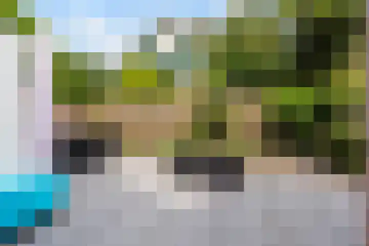 Koning Lodewijklaan 51 B Apeldoorn thumbnail 18