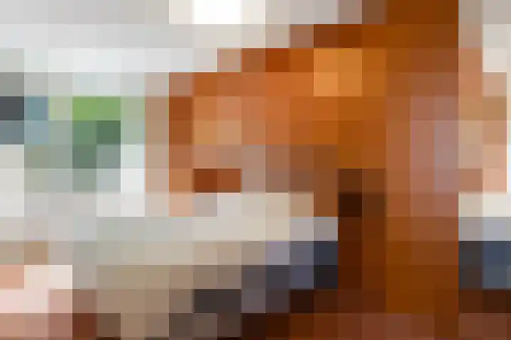 Koning Lodewijklaan 51 B Apeldoorn thumbnail 23