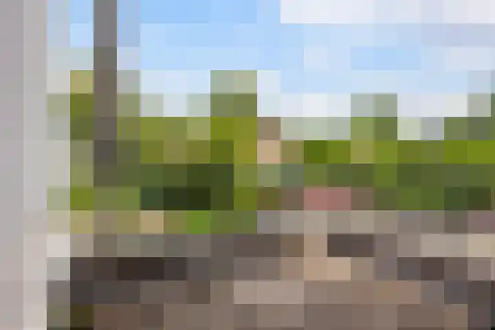 Koning Lodewijklaan 51 B Apeldoorn thumbnail 26