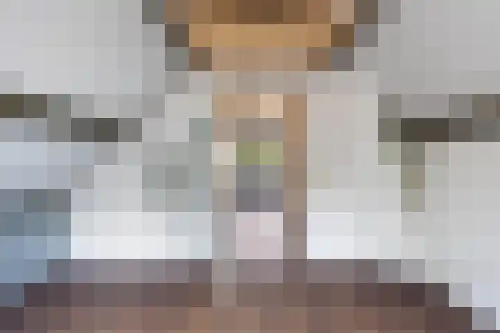Koning Lodewijklaan 51 B Apeldoorn thumbnail 33