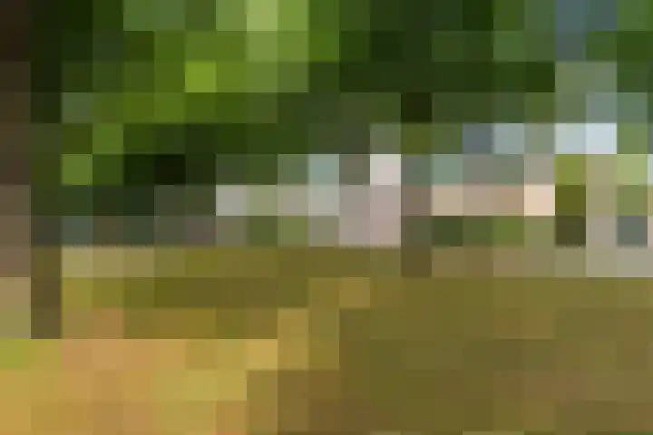 Koning Lodewijklaan 51 B Apeldoorn thumbnail 37