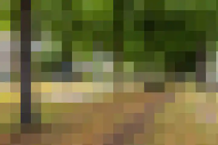Koning Lodewijklaan 51 B Apeldoorn thumbnail 38