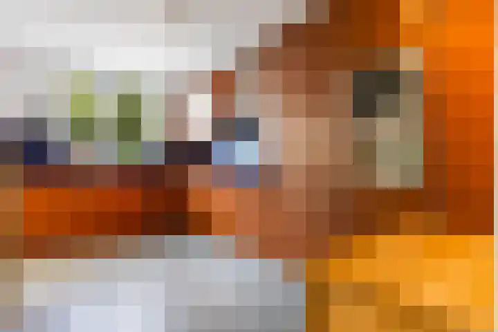 Koning Lodewijklaan 51 B Apeldoorn thumbnail 8