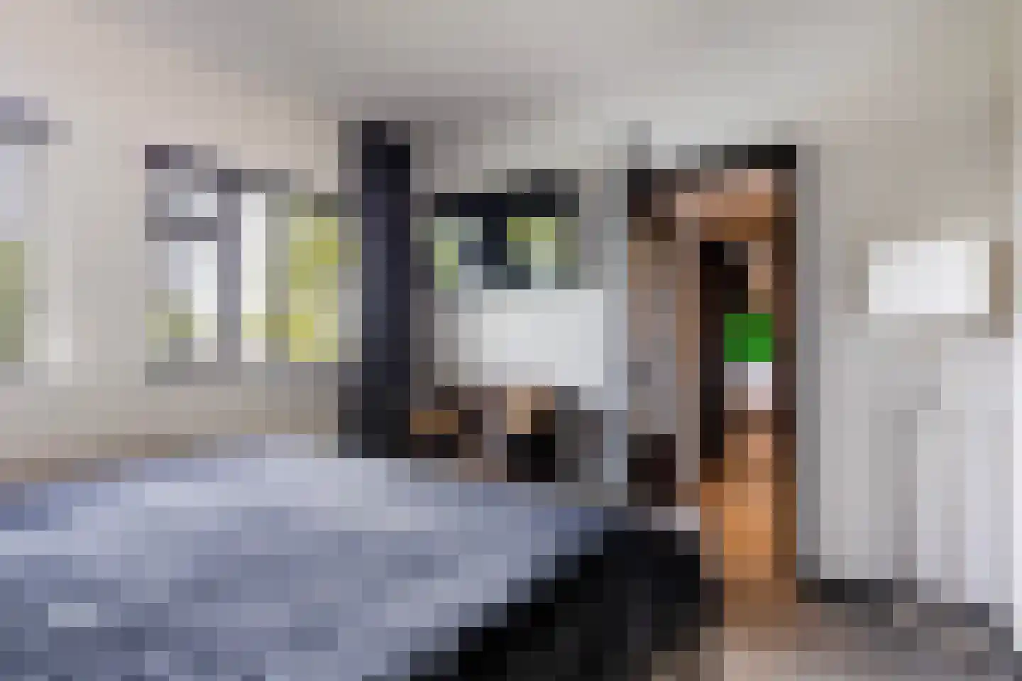 Koning Lodewijklaan 532 Apeldoorn thumbnail 17