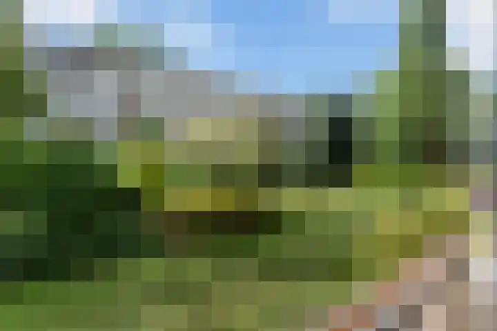 Koning Lodewijklaan 552 Apeldoorn thumbnail 10
