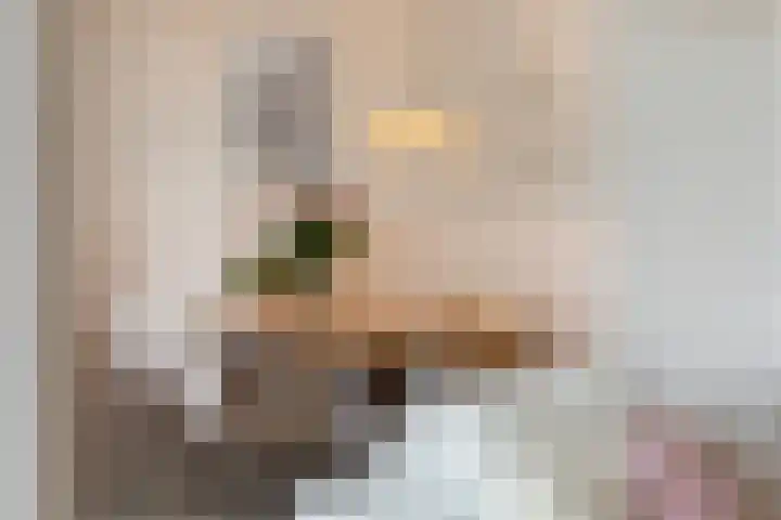Koning Lodewijklaan 552 Apeldoorn thumbnail 11