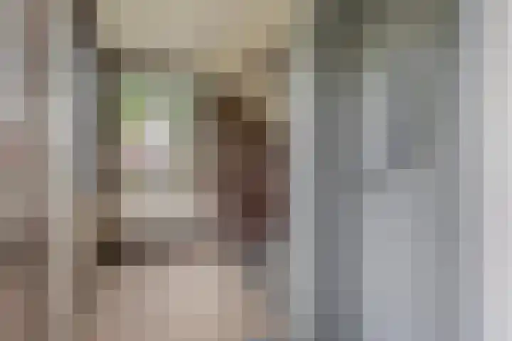 Koning Lodewijklaan 552 Apeldoorn thumbnail 30