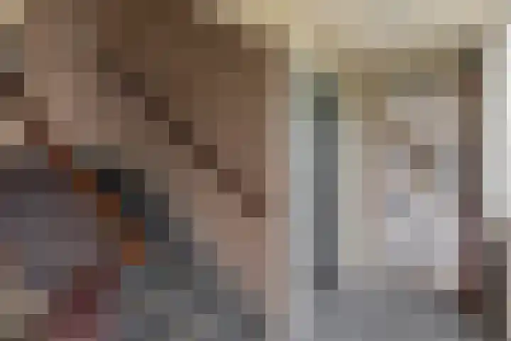 Koning Lodewijklaan 552 Apeldoorn thumbnail 31