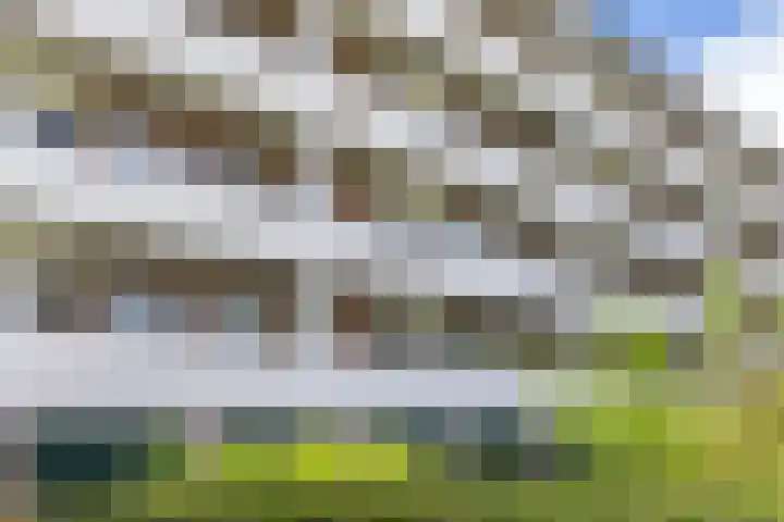 Koning Lodewijklaan 552 Apeldoorn thumbnail 35