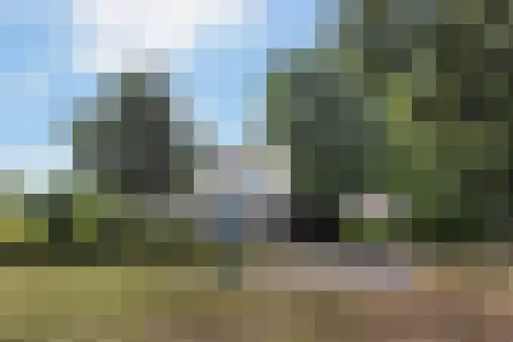 Koning Lodewijklaan 552 Apeldoorn thumbnail 38