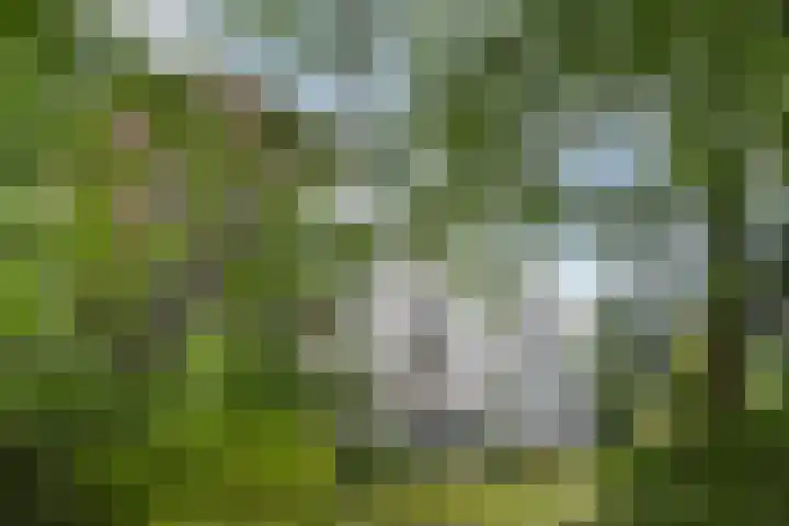 Koning Lodewijklaan 552 Apeldoorn thumbnail 39