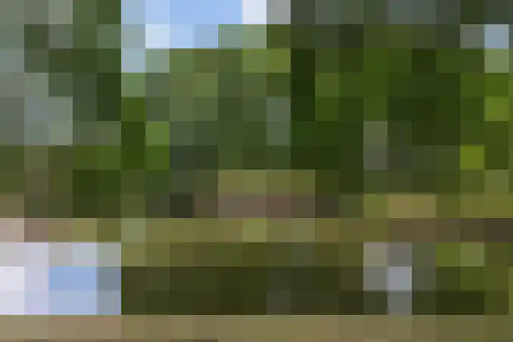 Koning Lodewijklaan 552 Apeldoorn thumbnail 40