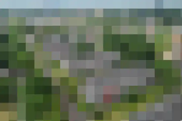 Koning Lodewijklaan 552 Apeldoorn thumbnail 41