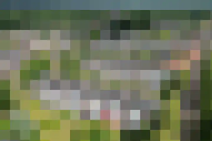 Koning Lodewijklaan 552 Apeldoorn thumbnail 42