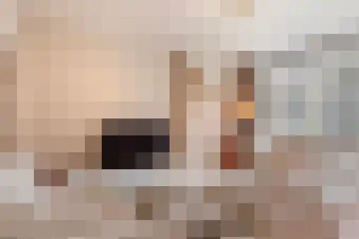 Koning Lodewijklaan 552 Apeldoorn thumbnail 6