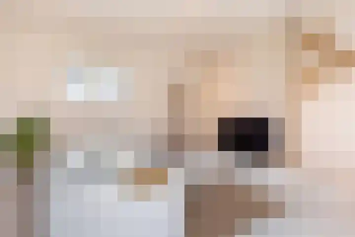Koning Lodewijklaan 552 Apeldoorn thumbnail 7