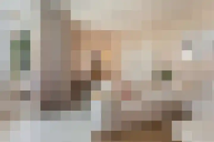 Koning Lodewijklaan 552 Apeldoorn thumbnail 8