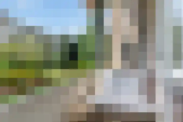 Koning Lodewijklaan 552 Apeldoorn thumbnail 9