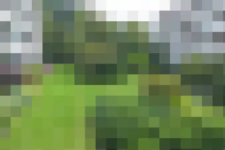 Koning Lodewijklaan 558 Apeldoorn thumbnail 24