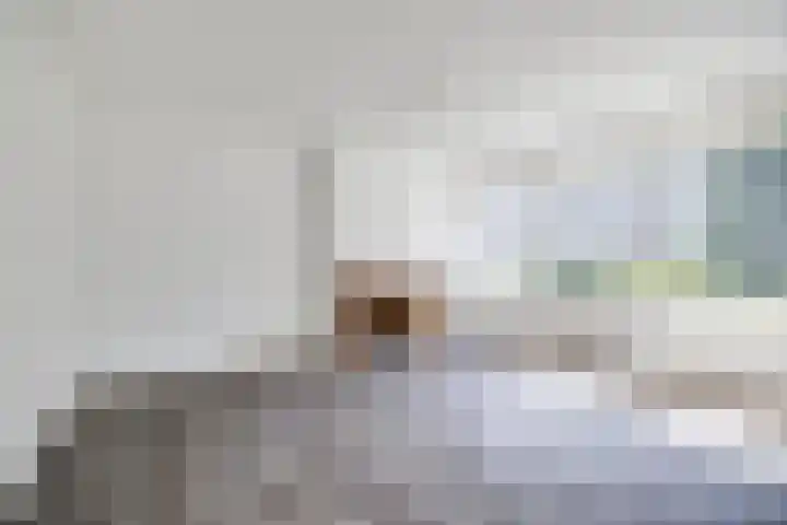 Koning Lodewijklaan 558 Apeldoorn thumbnail 4