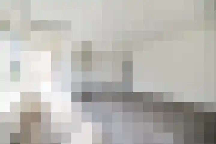 Koning Lodewijklaan 558 Apeldoorn thumbnail 5